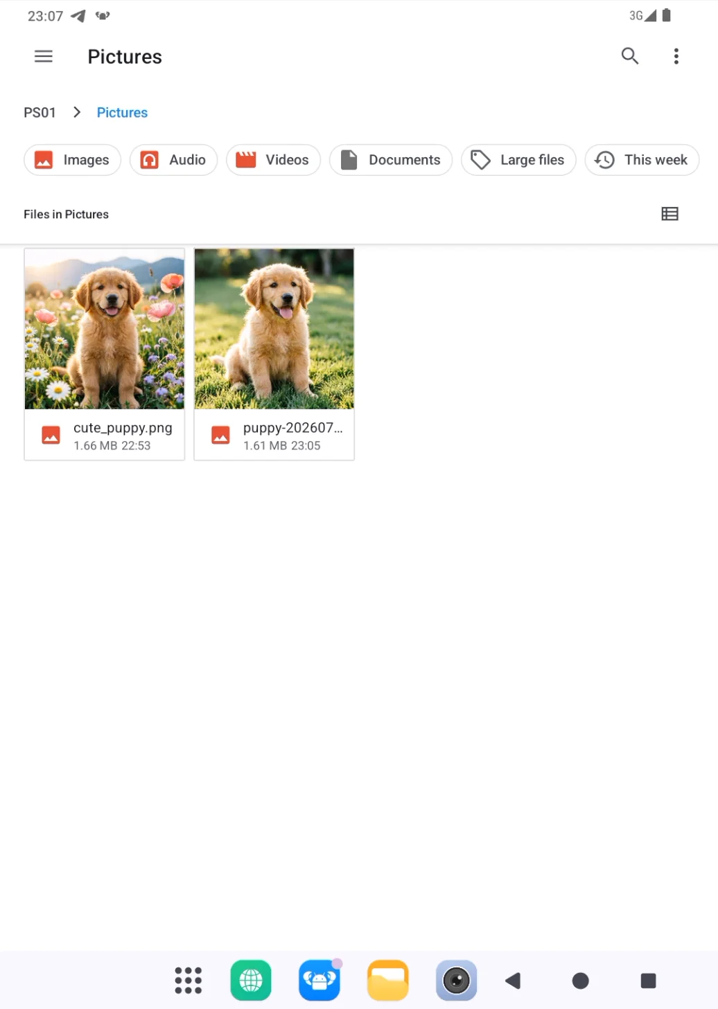 Generated image in the Pictures folder