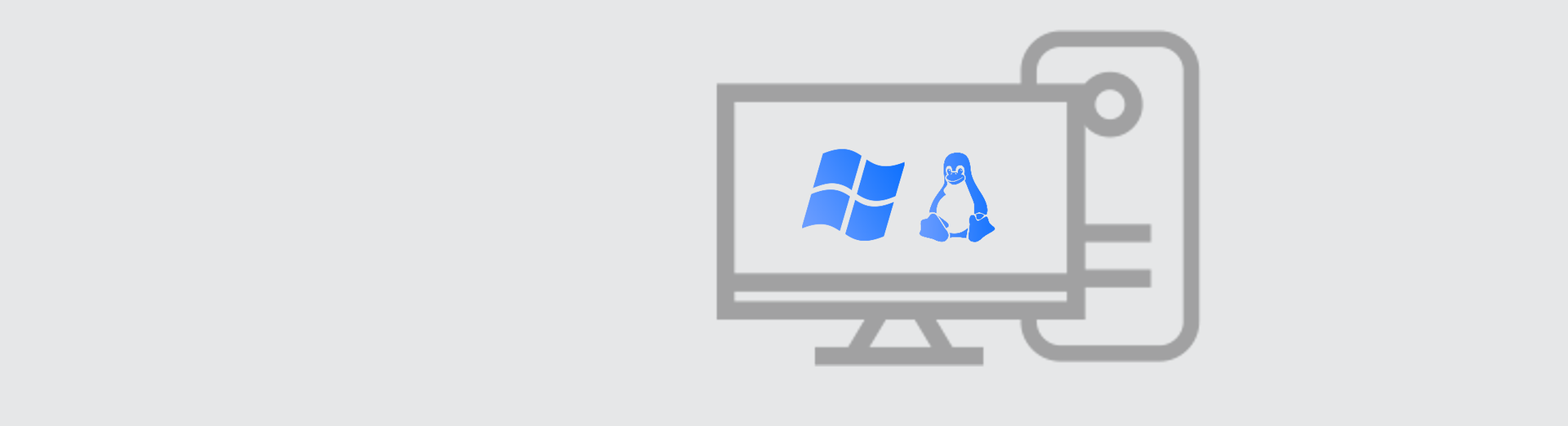 Windows/Linux