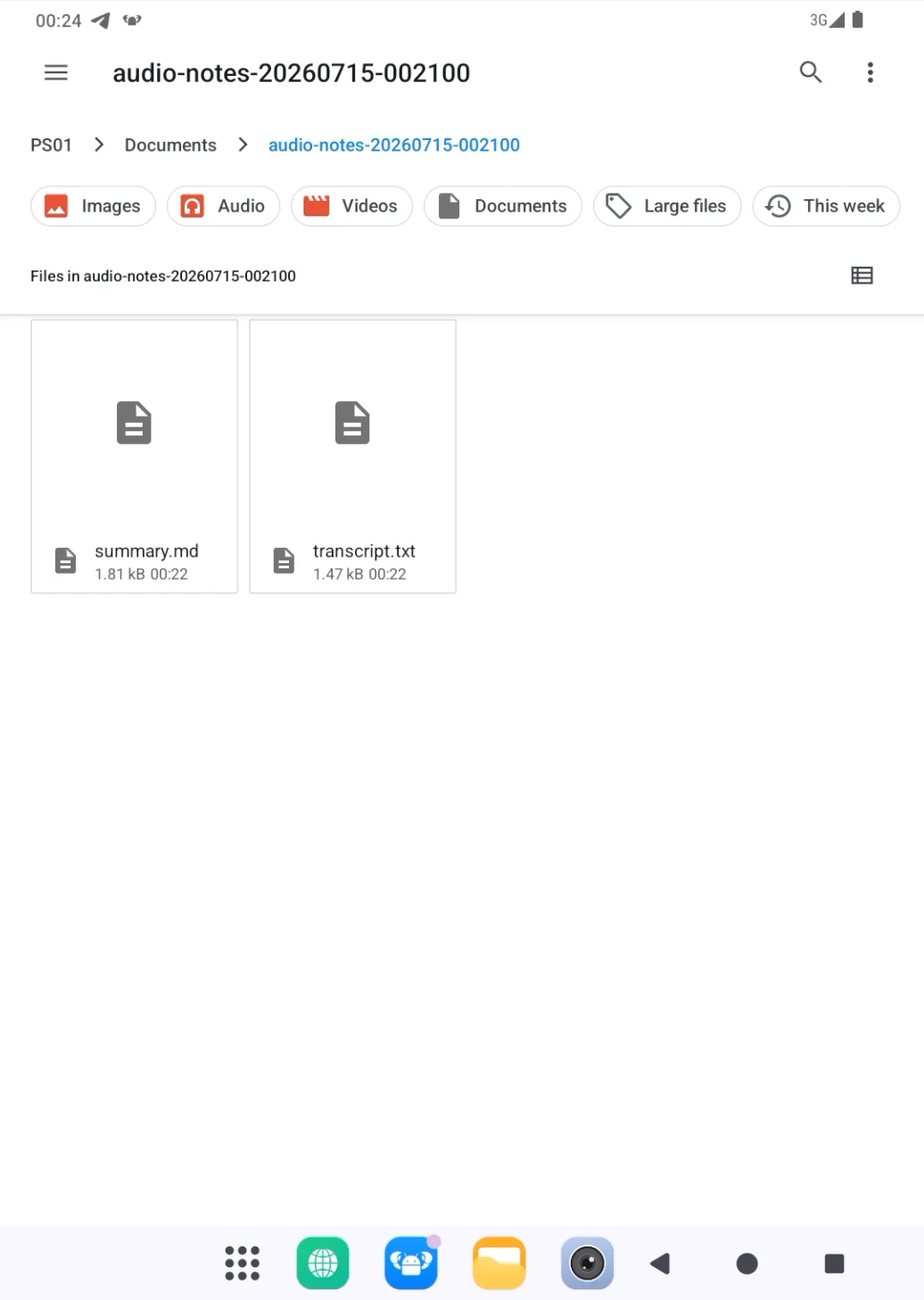 Saved transcript and summary files