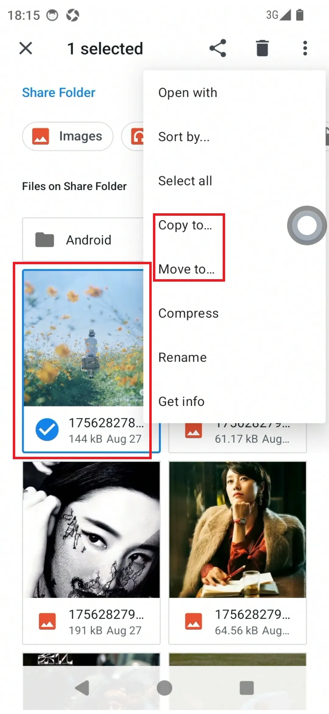 Shared Folder