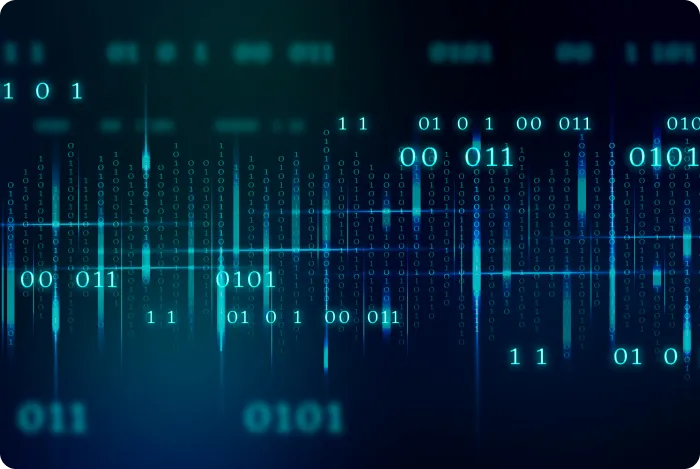 独立审计与内部合规